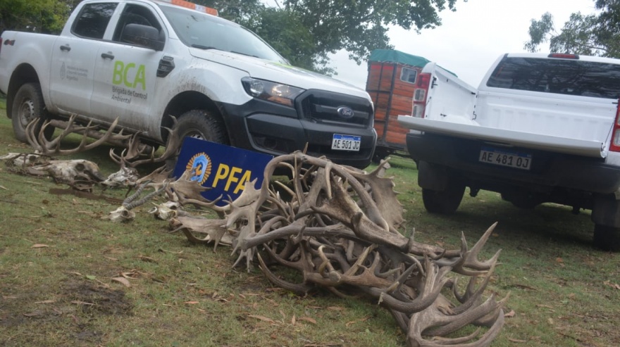 Ambiente allanó un campo en Balcarce por tráfico de fauna silvestre y halló más de 300 animales