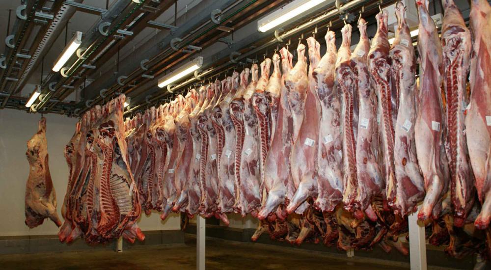 Javier Rodríguez: “Hay un gran potencial en la exportación de carne”