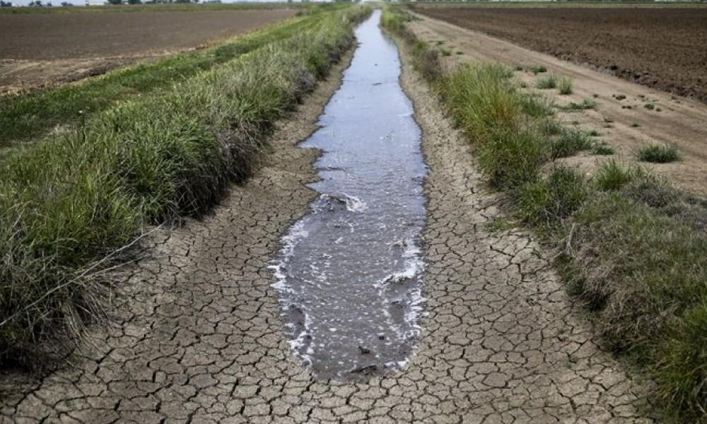Desde Carbap advierten que "la sequía está pegando muy duro"