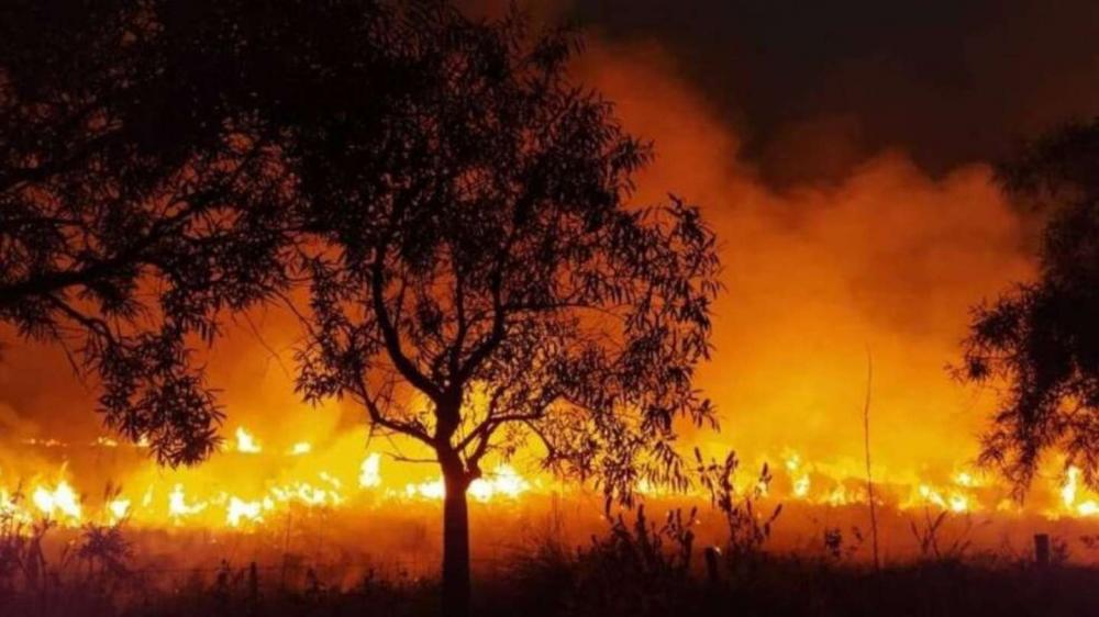 Juntos exige medidas al gobierno nacional "para combatir los incendios en Corrientes"
