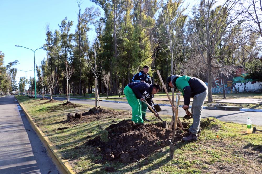 Oxbow Argentina Planta Copetro donó 500 árboles a la Municipalidad de Ensenada