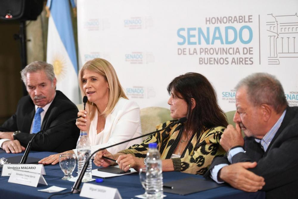 El Senado bonaerense homenajeó a la ex vicegobernadora Graciela Giannettasio