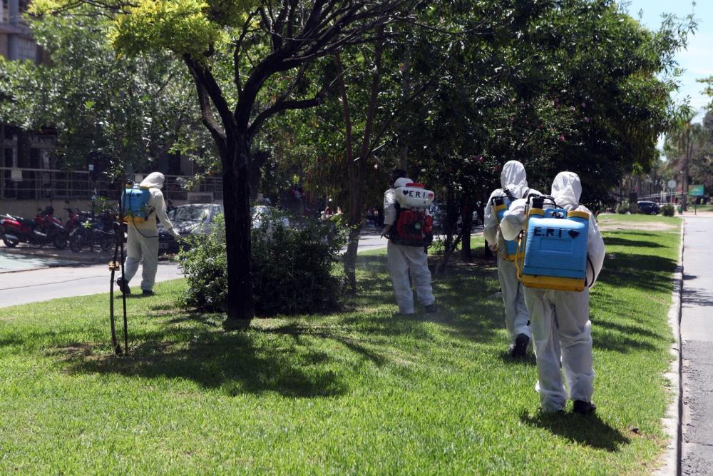 Se declaró el brote de dengue en La Plata