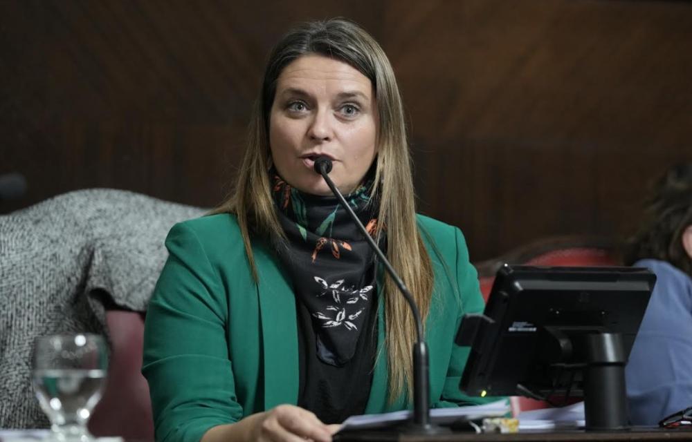 La senadora Neumann Losada reclamó la pavimentación de la Ruta Provincial N° 60