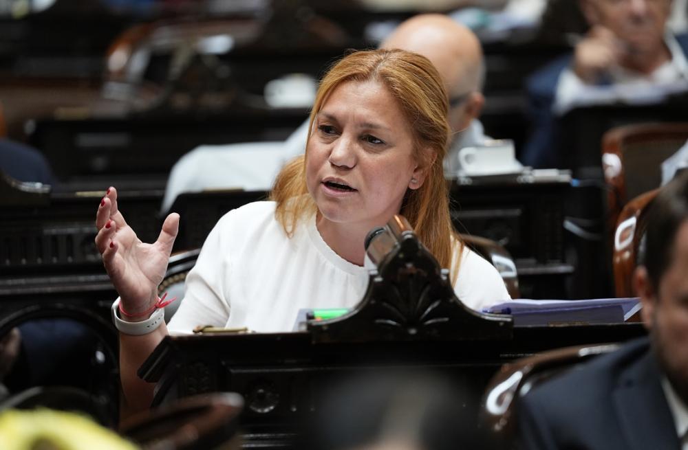 Diputada radical criticó la propuesta del Gobierno de eliminar el financiamiento público de las campañas electorales