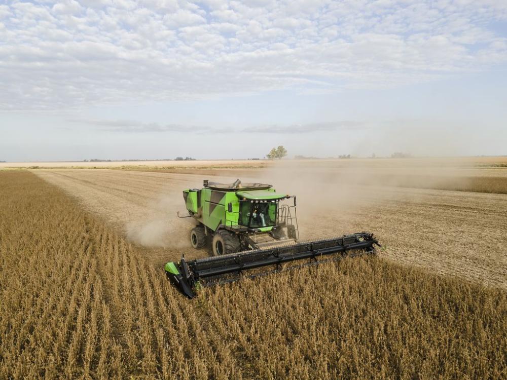 Enero récord para el campo: sube 82% la liquidación de divisas del complejo oleaginoso-cerealero Enero récord para el campo: sube 82% la liquidación de divisas del complejo oleaginoso-cerealero
