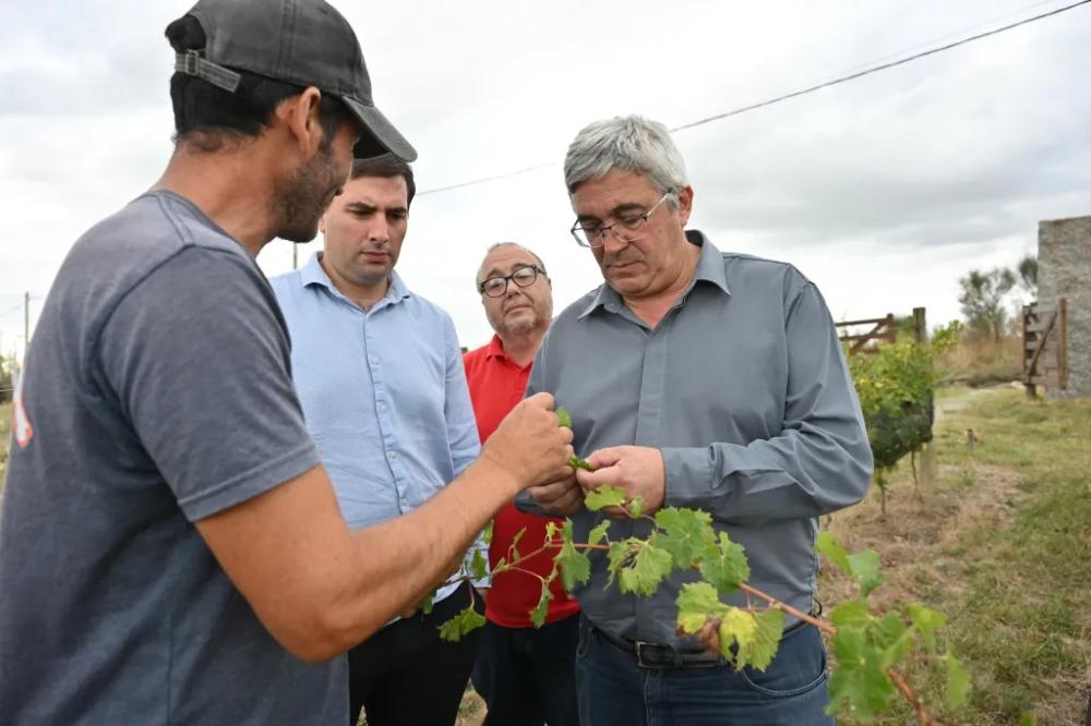 Javier Rodríguez cuestionó el cierre del Plan Estratégico Vitivinícola Javier Rodríguez cuestionó el cierre del Plan Estratégico Vitivinícola