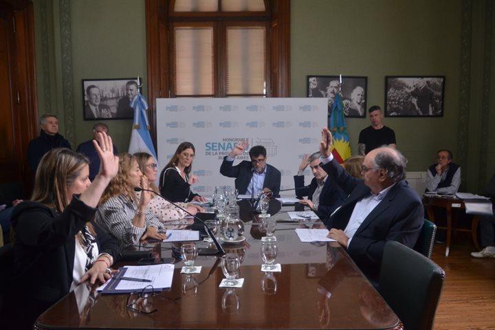 Avanza en el Senado un proyecto para promover la olivicultura en el sudoeste bonaerense Avanza en el Senado un proyecto para promover la olivicultura en el sudoeste bonaerense