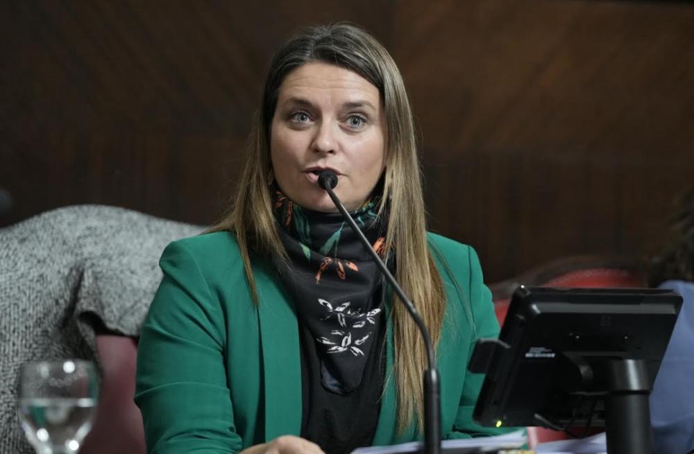 El Senado dio media sanción al proyecto de cartelería preventiva contra incendios en rutas y accesos estratégicos El Senado dio media sanción al proyecto de cartelería preventiva contra incendios en rutas y accesos estratégicos